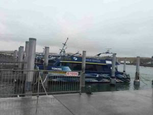 mmexport1428341849224